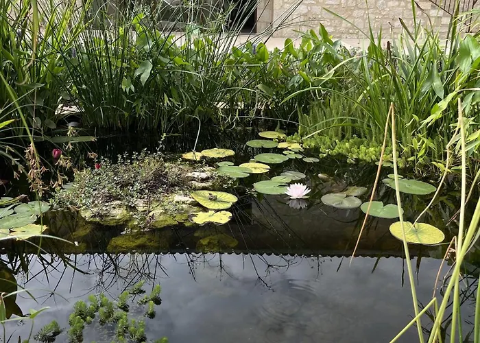 Semesterbostad L'etable - Domaine Lassalle Saint-creac