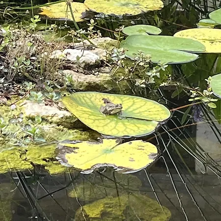 L'etable - Domaine Lassalle Saint-créac Hébergement de vacances