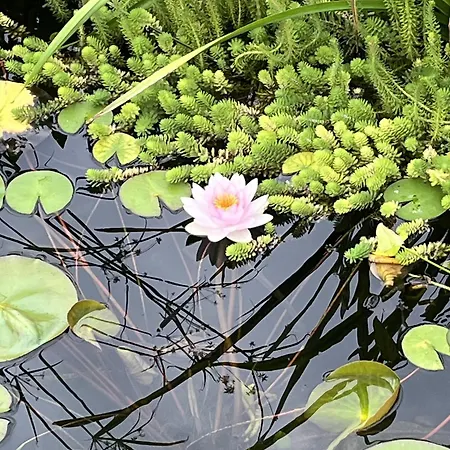 Hébergement de vacances L'etable - Domaine Lassalle Saint-créac