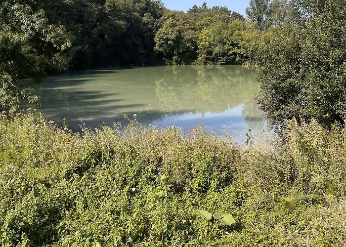 L'etable - Domaine Lassalle Saint-creac Ferienhaus